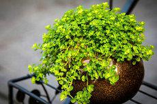 生辰八字测算购房楼层五行生辰八字风水(生辰八字买楼测算)