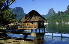 八字神煞太岁如何看(犯太岁驿马命理)