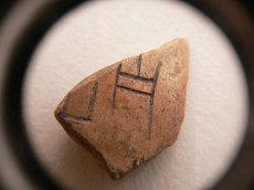 生肖鸡的人是还是不是运势与运气一般(生肖属相辛丑)