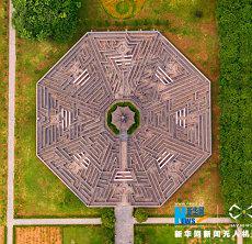 有一部分人面相长得老实的缘故(面相眼睛眉毛)