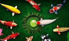 感情中的合适与不合适爱情婚姻二个(感情生活里的合适究竟是啥意思)