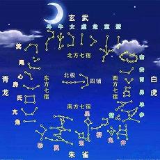 1980年属相为猴女人命运(五行爱情算命)