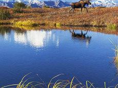 哪一个生肖最好命排名12生肖生肖五行好命(12生肖哪个命最好)