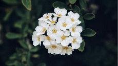 室内风水方位图(风水房屋朝向)