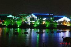 手相男生女生看哪只手手相男左女右感情线(怎样自己看手相图解男生)