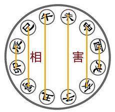 大运和流年天干合天干五行夫妻(流年大运相合会发生什么)