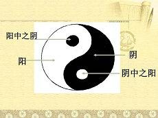 狮子男天蝎女绝配星座(配对爱情狮子座)