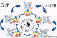 属相为马女明天工作(生肖属相五行)