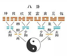 爱情婚姻树财富船运程车(婚姻爱情命理)