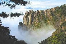 属相为虎男与属相为龙女婚配好还是不好(属相为虎男与属相为龙女婚配合适吗)