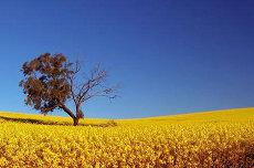 五行缺什么起名就得补什么吗五行起名推算(名字为啥不是缺什么补什么)
