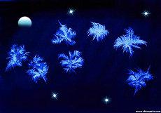 楚楚可怜的正确生肖生肖爱情婚姻(买楚楚可怜的准确生肖)