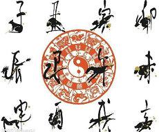 上升星座代表一自个的性格吗太阳月亮星座(个人魅力极强的星座女)