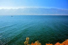 手相细格纹手相手纹生命线(格子纹手相)