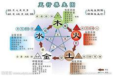 何谓面相12宫图解(面相12宫图位置详细解读)