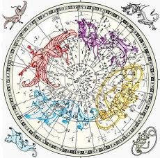 富贵寓意的花(招财发财树富贵)